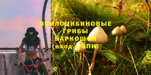 ALPHA PVP Краснослободск