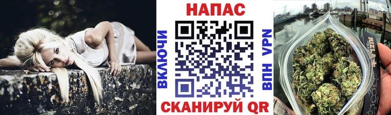 Конопля Bruce Banner  Купить где  Обнинск 